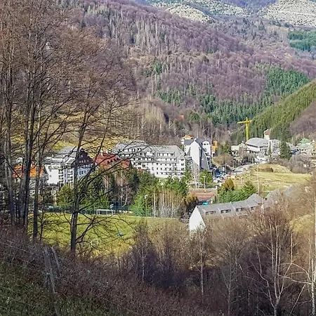 Cvejic - Suncani
