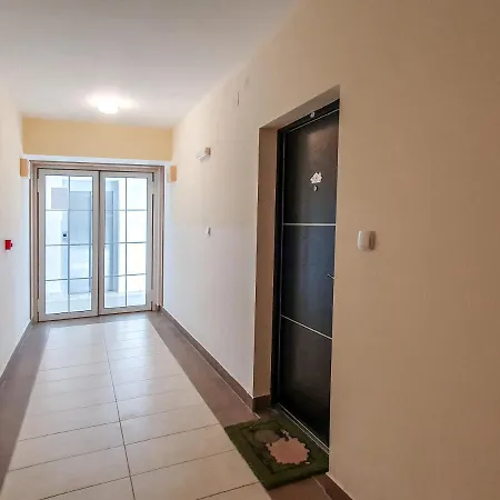 Cvejic - Suncani Daire *