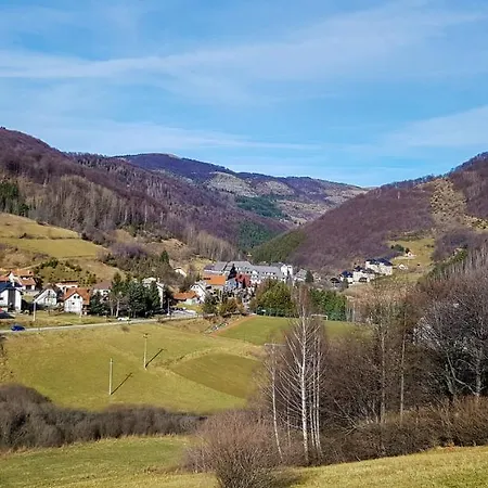 Cvejic - Suncani Brzeće