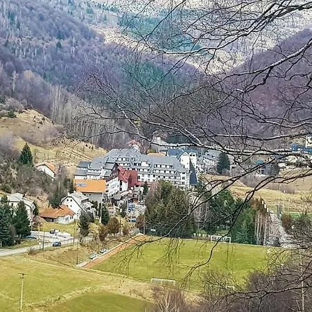 Daire Cvejic - Suncani *